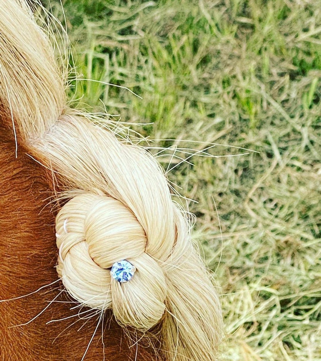 glitzerpferd.de Mähnenglitzersteine LightSapphire