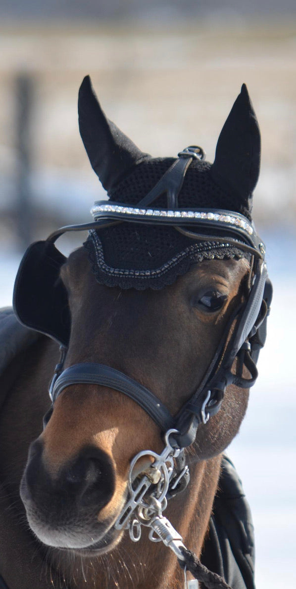 glitzerpferd.de Fahrstirnriemen